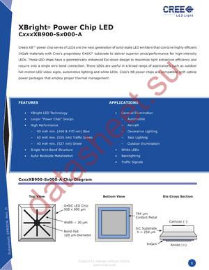 C527XB900-S4000-A datasheet  