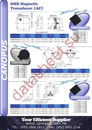 CSMT1002D2670LS datasheet  