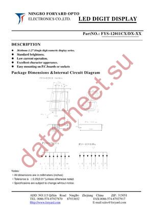 FYS-12011 datasheet  