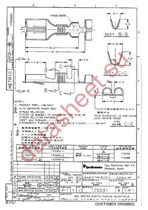 170031 datasheet  