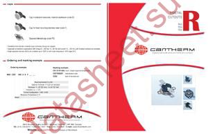 R53CS710015Z datasheet  