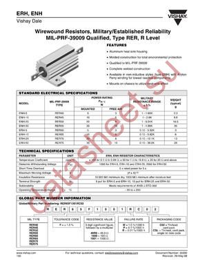 RER45F1001MC02 datasheet  