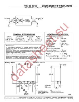 SSM-2B-3000 datasheet  