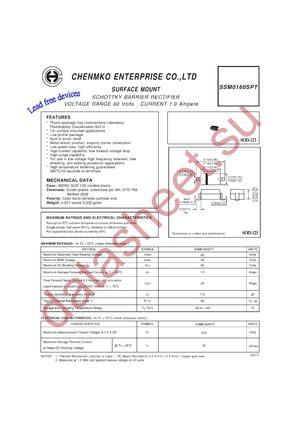 SSM0160SPT datasheet  