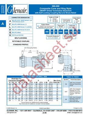 380AS099XM08 datasheet  