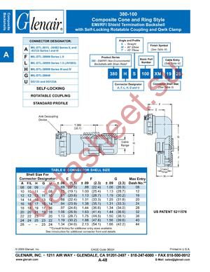 380AS100XM08 datasheet  